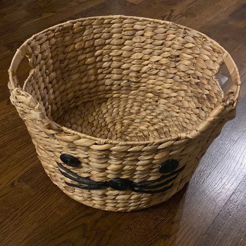 The Container Store Animal Water Hyacinth Woven Cat Basket
